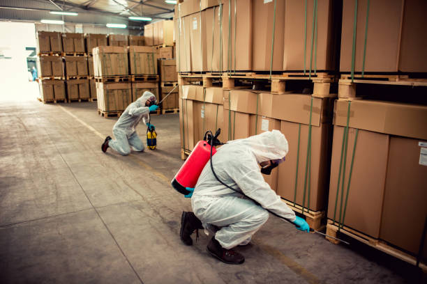 Best Affordable Pest Control Services  in Goshen, AR