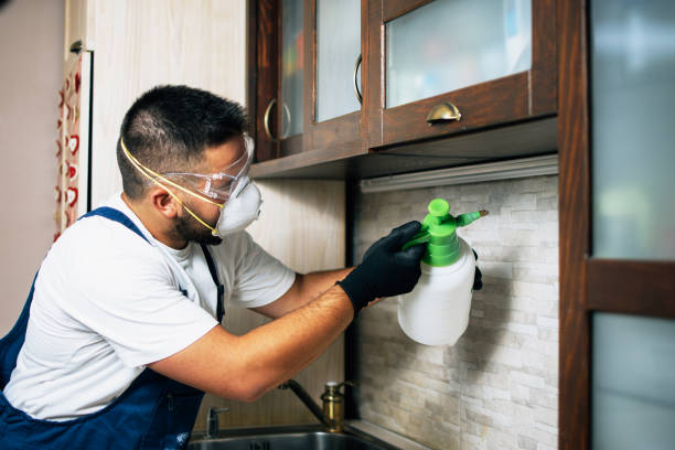Best Emergency Pest Control  in Goshen, AR