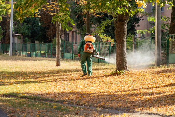 Best Pest Prevention Services  in Goshen, AR