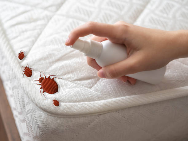 Best Insect Control  in Goshen, AR