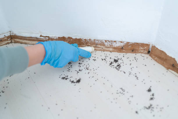 Best Pest Control Near Me in Goshen, AR